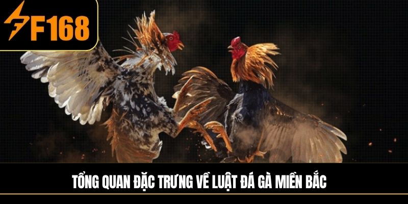 Tổng quan đặc trưng về luật đá gà miền Bắc